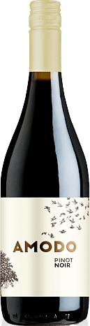 Amodo Pinot Noir Provincia di Pavia 2017 Pinot Noir
