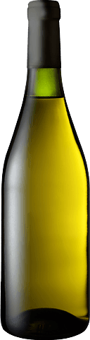 Blank Sauvignon Blanc 2018 Sauvignon Blanc