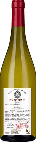 Selección Numerada v9 Navarra Chardonnay 2019 Chardonnay