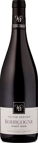 Victor Berard Pinot Noir 2016 Pinot Noir