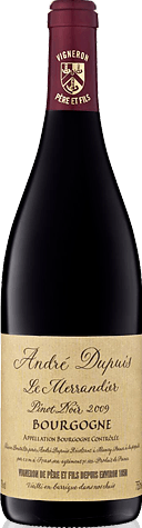 Andre Dupuis Merrandier Bourgogne Pinot Noir 2009 Pinot Noir