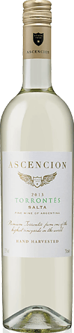 Ascencion Torrontés 2013 Torrontés
