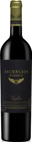 Ascencion Malbec Reserve 2011 EKO Malbec