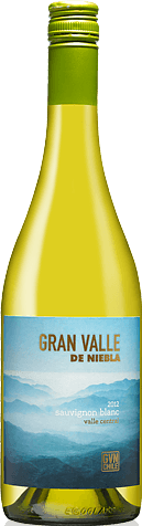 Gran Valle De Niebla Sauvignon 2012 Sauvignon Blanc