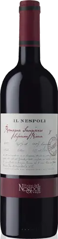 Il Nespoli Sangiovese Di Romagna Superiore Riserva 2011 Sangiovese