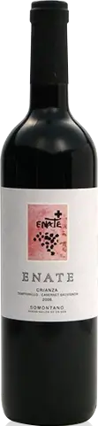 Enate Crianza 2009 Tempranillo