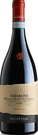 Salva Terra Amarone Della Valpolicella Classico 2008 Corvina