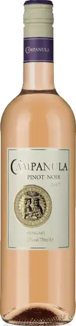 Campanula Pinot Noir Rose 2017 Pinot Noir