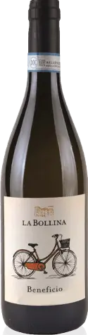 La Bollina Beneficio 2017 Chardonnay