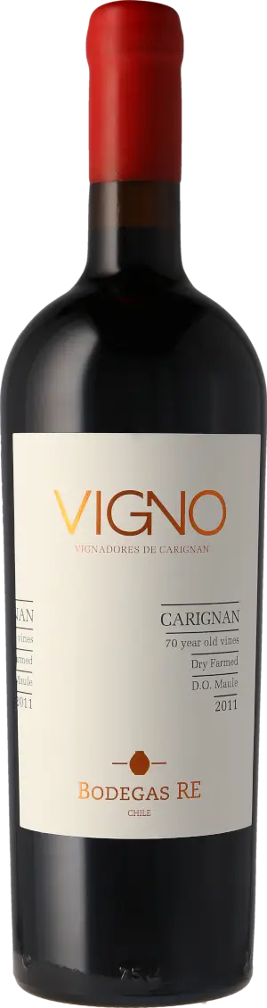Bodegas Re Vigno 2011 Carignan