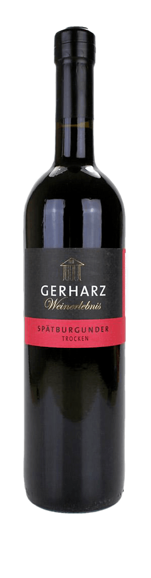 Gerharz Spätburgunder 2019 Pinot Noir 100% Spätburgunder (Pinot Noir) Rheinhessen