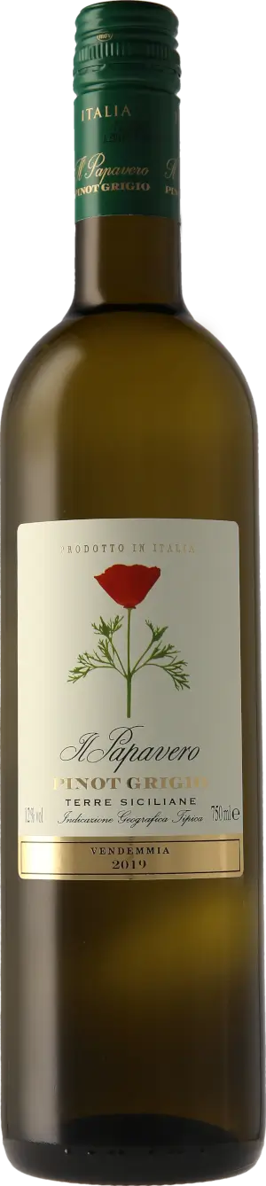 Il Papavero Pinot Grigio 2019 Pinot Grigio
