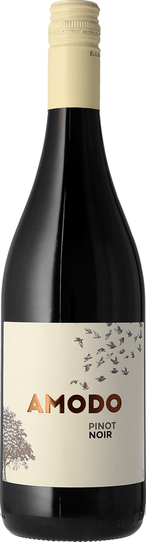 Amodo Pinot Noir 2019 Pinot Noir