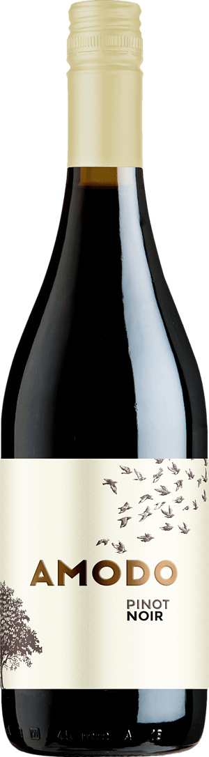 Amodo Pinot Noir 2019 Pinot Noir