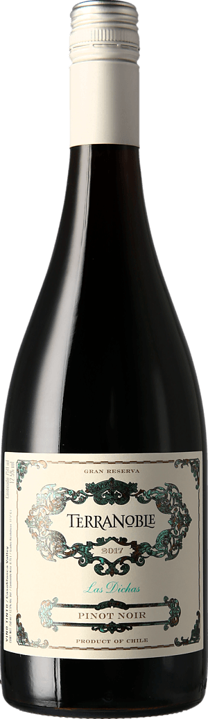 TerraNoble Gran Reserva Pinot Noir 2017 Pinot Noir