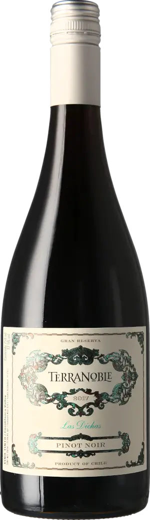TerraNoble Gran Reserva Pinot Noir 2017 Pinot Noir