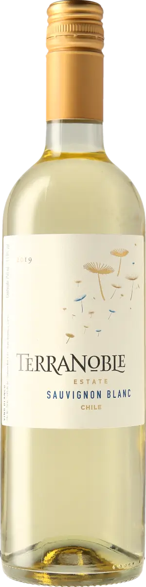 Terranoble Estate Sauvignon Blanc 2019 Sauvignon Blanc