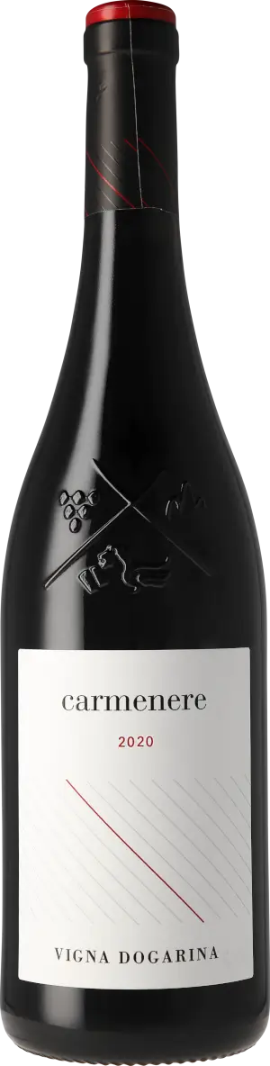 Vigna Dogarina Carmenère Piave 2020 Carménère