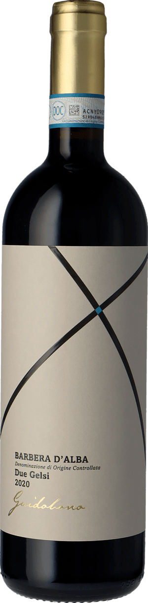 Guidobono Barbera D'Alba Due Gelsi 2020 Barbera