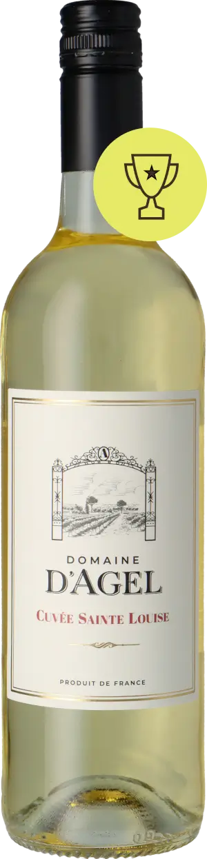 Domaine d'Agel Cuvée Sainte Louise Blanc 2023