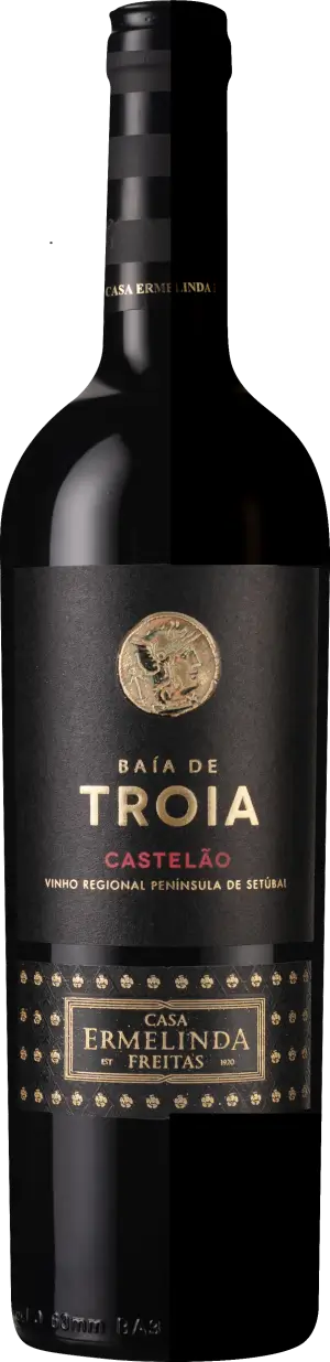 Baía de Tróia Castelão 2024 (i mixlåda) Castelão