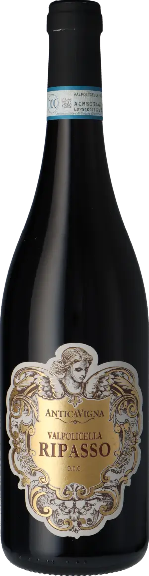 Antica Vigna Valpolicella Ripasso DOC 2017