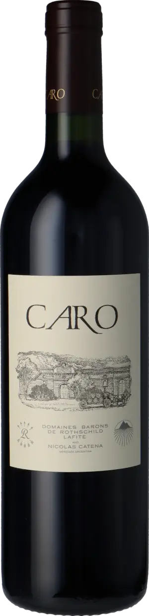 Bodegas CARO 2022 Malbec