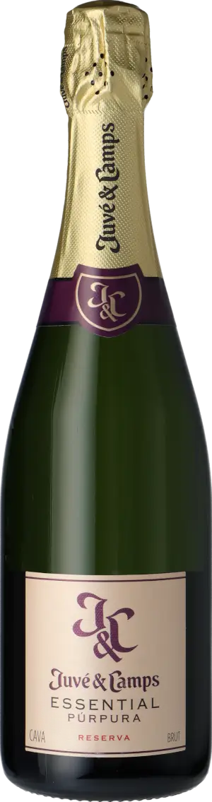 Juvé & Camps Cava Essential Púrpura Reserva 2022 Macabeo
