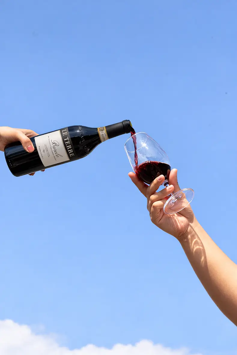 Le Terre Barolo 2020 Nebbiolo