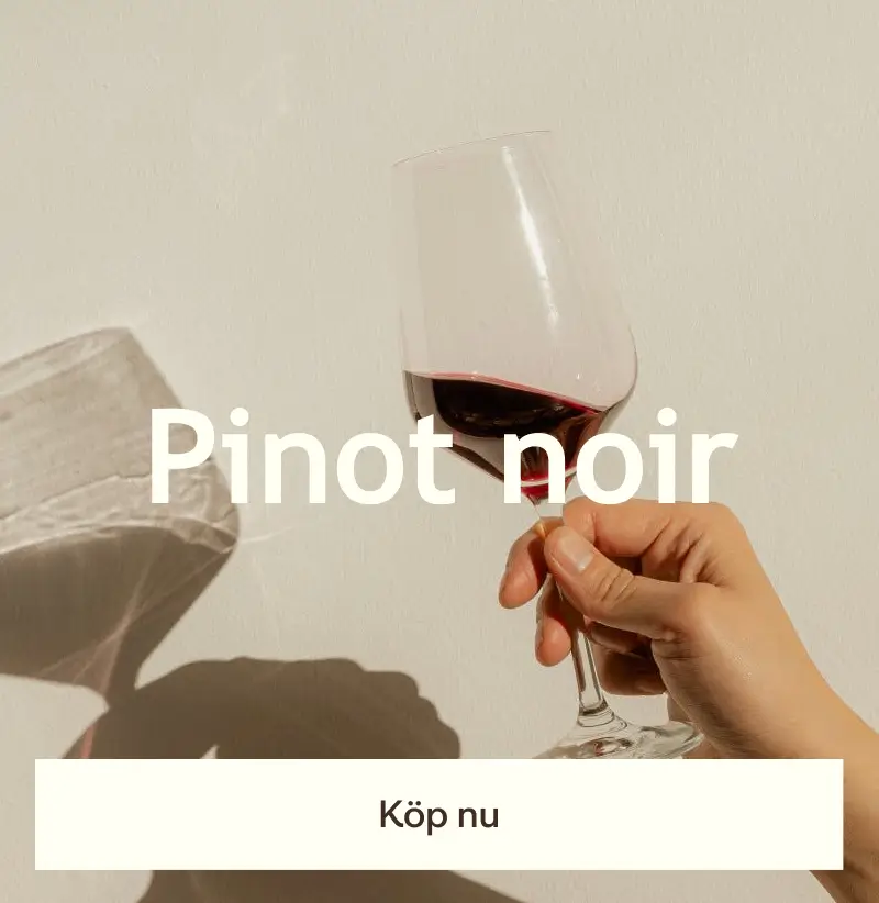 pinot noir