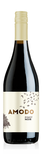 Amodo Pinot Noir Provincia di Pavia IGT 2018 Pinot Noir 100% Pinot Noir Lombardiet