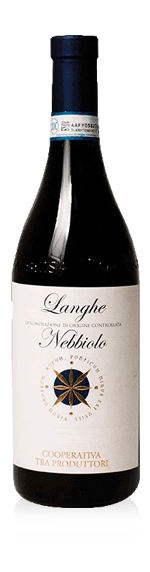 Cantina Terre del Barolo Langhe Nebbiolo 2014 Nebbiolo