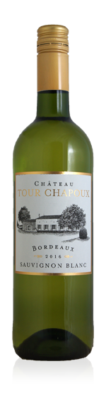 Château Tour Chapoux Bordeaux AOC Blanc 2018 Sauvignon Blanc 100% Sauvignon Blanc Bordeaux