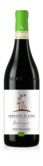 Terre del Barolo Nebbiolo d'Alba Biologico 2015