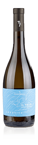 Terre di Bruca Il Velo Inzolia 2016