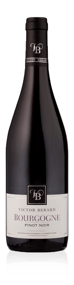 Victor Berard Pinot Noir 2017 Pinot Noir 100% Pinot Noir Bourgogne