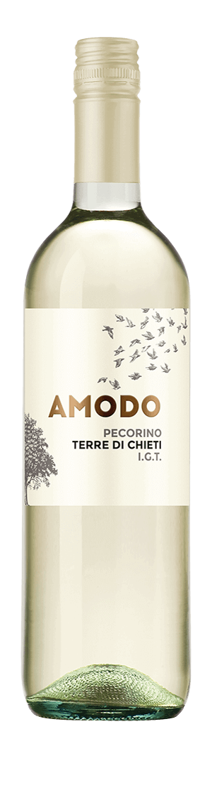 Amodo Pecorino Pecorino 100% Pecorino Abruzzo